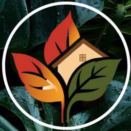 Miko House - Home Design & Architecture
