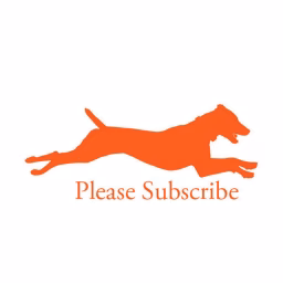 CA GSP Rescue