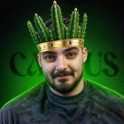 ALI CACTUS GAMiNG