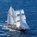 STS Young Endeavour ⚓️