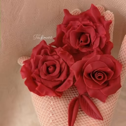 Fia flowers 