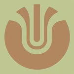Ultradynamico Bicycle Tires