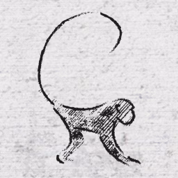 Ido Portal