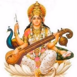 Telugu Competitive Exams