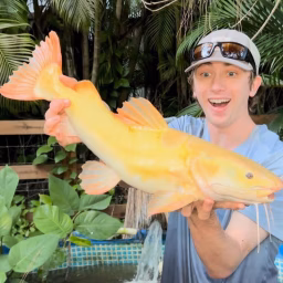 Bass fishing Productions Shorts