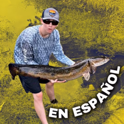 Bass Fishing Productions en Español
