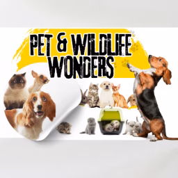 Pet And Wildlife Wonders