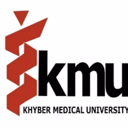 BSN KMU lectures