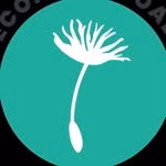 New Economy Coalition
