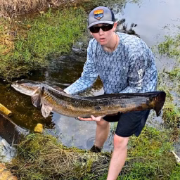 Bass fishing Productions Vlogs