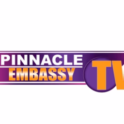  Pinnacle Embassy TV