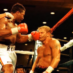 Gladiadores del box