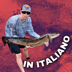 Bass fishing Productions in Italiano