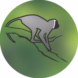 Vervet Monkey Foundation