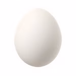 Principi