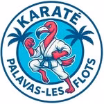 KARATE PALAVAS