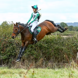 Lily Equestrian