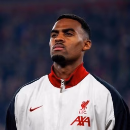 OMcomps