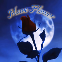 Moon Flower