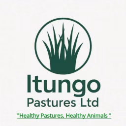 ITUNGO PASTURES 
