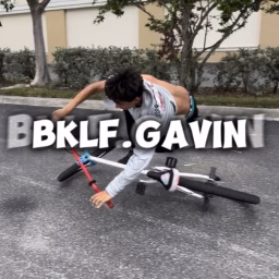 BKLF GAVIN