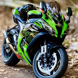Wheel & Roar