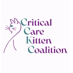 Critical Care Kitten Coalition