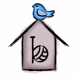 The Bluebird Box
