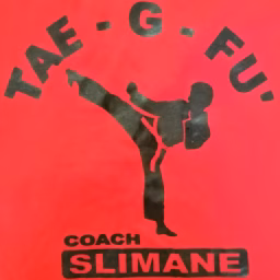 Maître Slimane Moghari