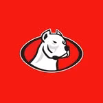 DOGOS XV