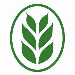 Gerstenberg Verlag