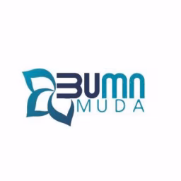 BUMN Muda
