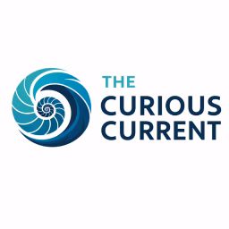 The Curious Current