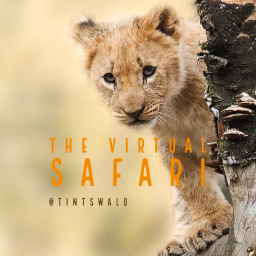 The Virtual Safari @ Tintswalo
