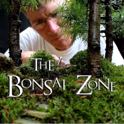 Nigel Saunders, The Bonsai Zone