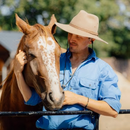 Emotional Horsemanship by Lockie Phillips