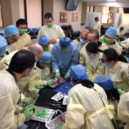 International Academy of Dental Implantology (IADI)