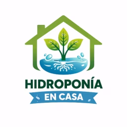 Hidroponia En Casa