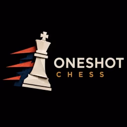 OneShot Chess