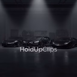 HoldUp Clips