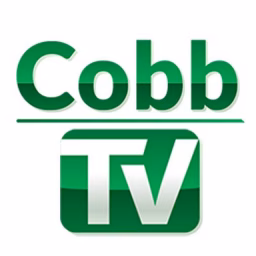 Cobb County Government