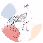 Schöne Dinge Meisterei 🦚